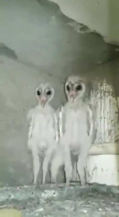 My newest nightmare.