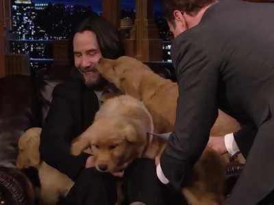 Keanu Reeves is the Puppy King killer of the deniers