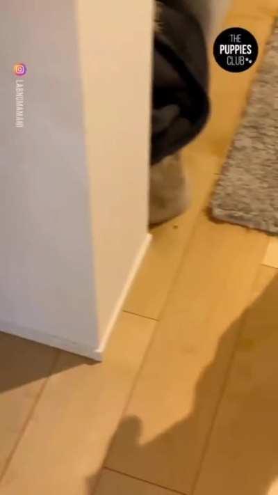 The machine that goes 'ping'