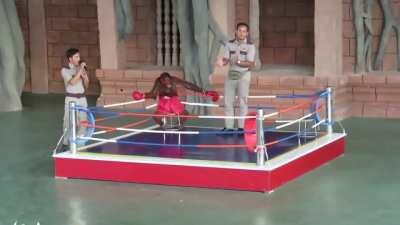 POV: Espectador del combate reven vs elmillor