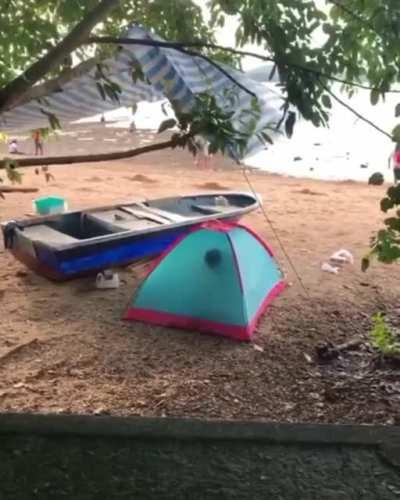 Great day for the beach