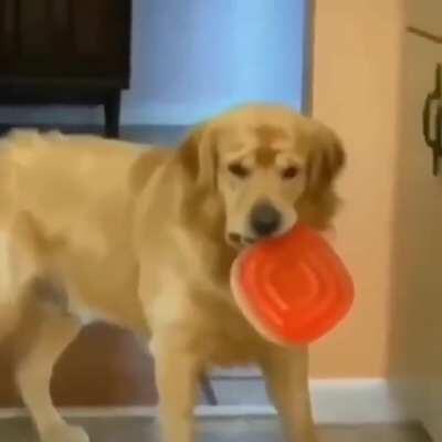 Here is a what quilty face looks like