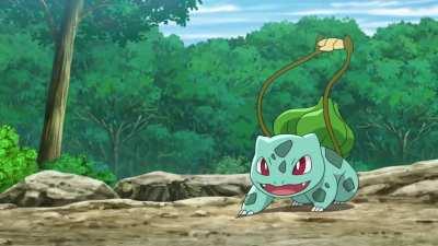 Ash/Satoshi's old Pokémon team up to train his current team. How wholesome