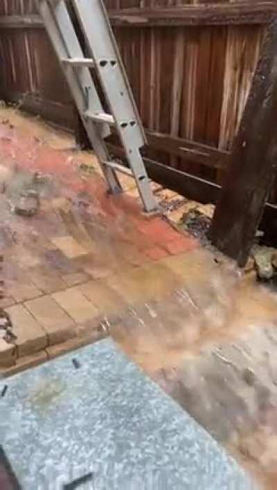 Croc spotted in qld flood waters