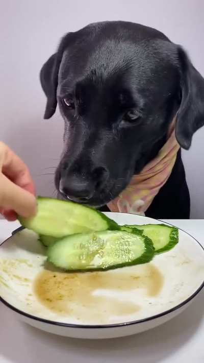 HMK while I munch on this