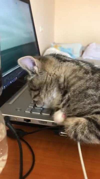 He's just tired of working