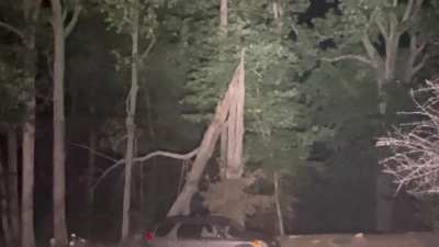 Across the road again