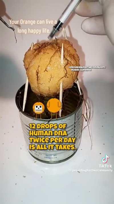 Bro what in the hell, orange? 