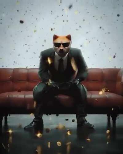 🐕🐕🐕🚀🚀🚀