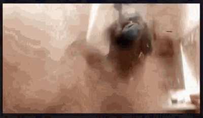 The last bot you talked to has just broken into your house. How screwed are you?