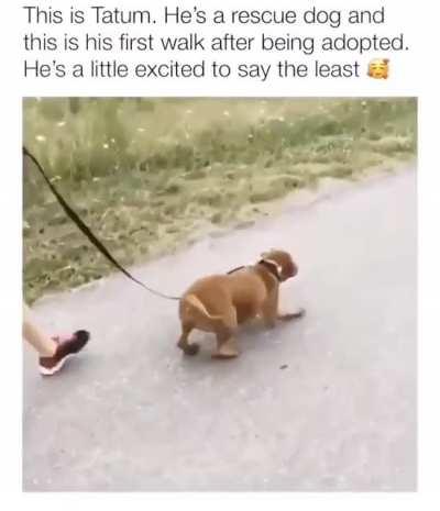 Happiest Boings!!!!!