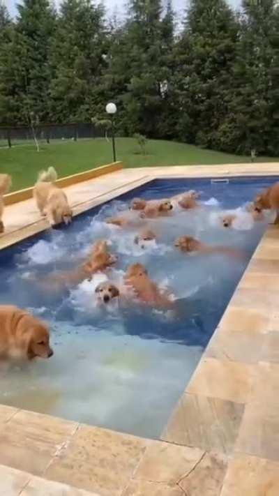 The greatest pool party ever!