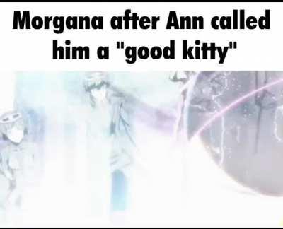 I'm not a cat😾but if it's Lady Ann...😻