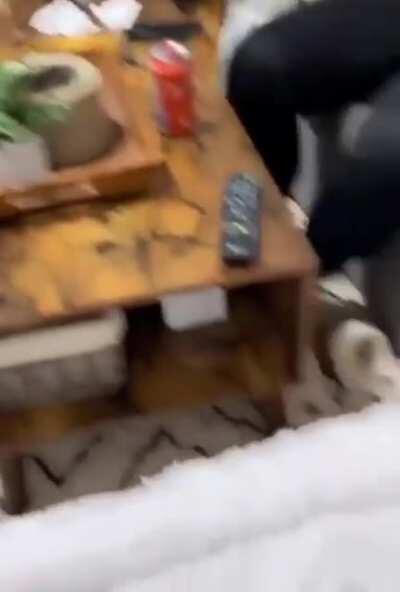 My god, it's in the house