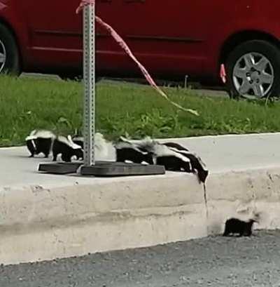 Leave no stinker behind.