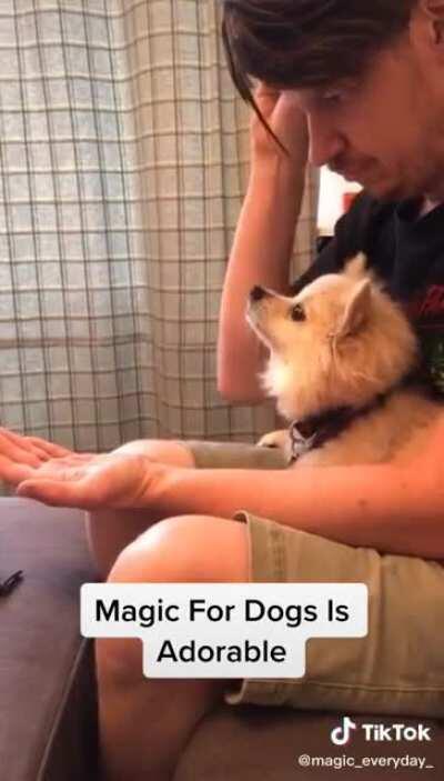 Watch this pencil.. disappear!