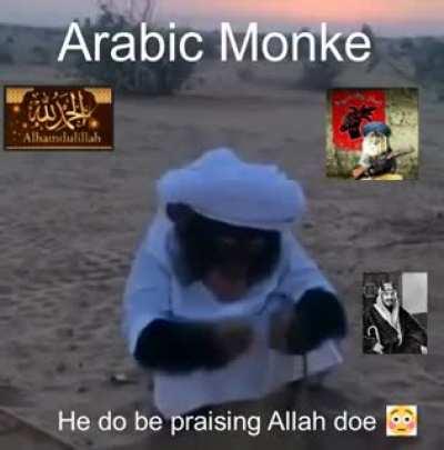 Arabic monke