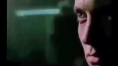 Stand proud boys, stand proud