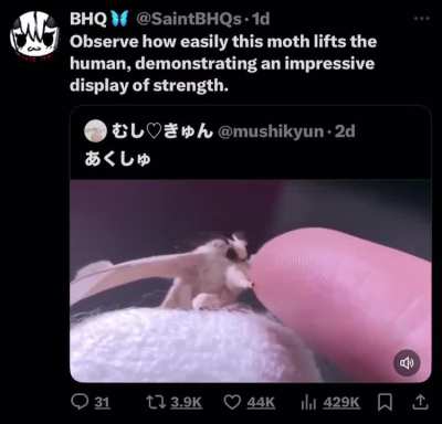 Powerscalers sometimes be like