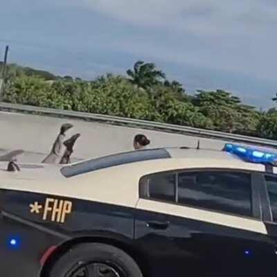 beyler geçen şafak operasyonuyla göz altına alındım (aynasızın fatality attığı eleman benim)