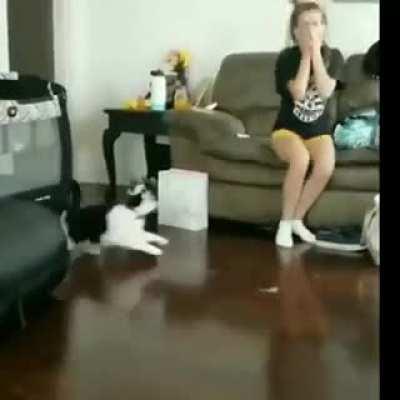 Trying to fight a fierce predator