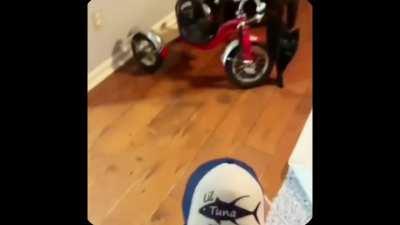 a streamer depois que virou potterhead kazmilWrite kazmilWrite