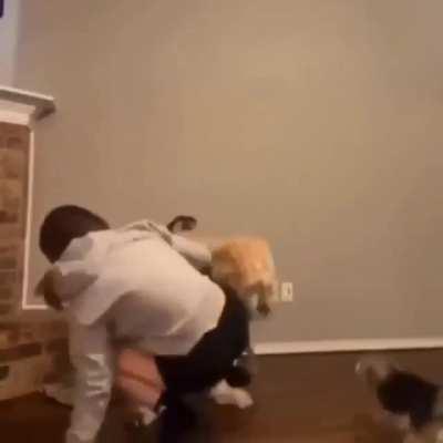 Stop dancing and take us out for a walk