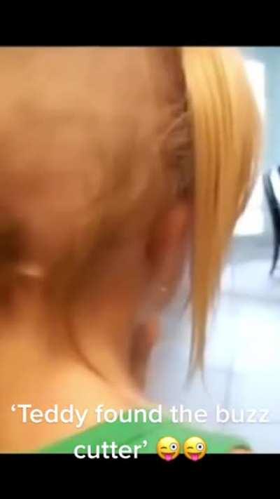 Teddy found the buzz cutter.