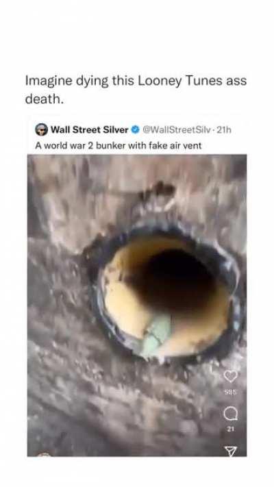 what's up doc 🥕🐰