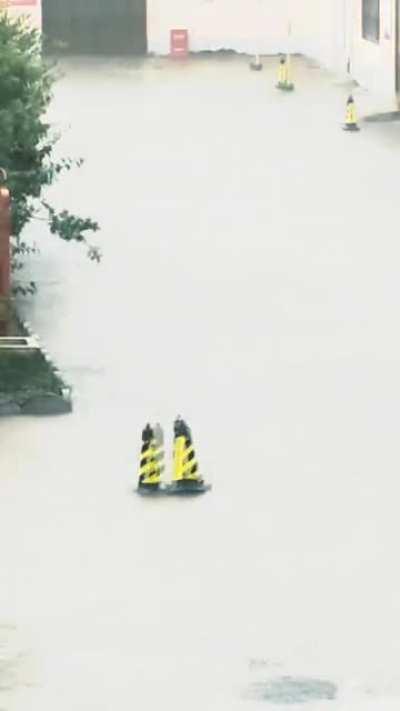 Вот это надо ставить в каждом вузе пропадающем режиссуру