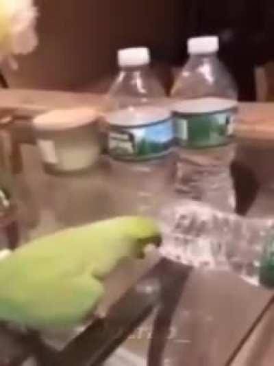 Caso vocês estejam tendo um dia ruim :)