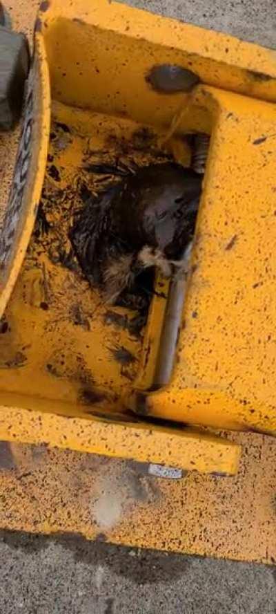 Posted in cursedvideos and was told to post here