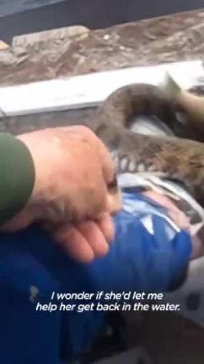 Only White People Would