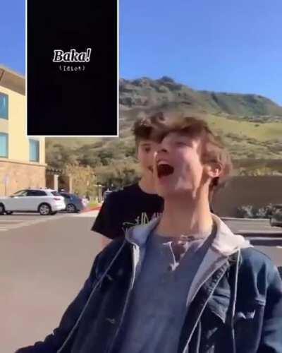 They said the funny anime words