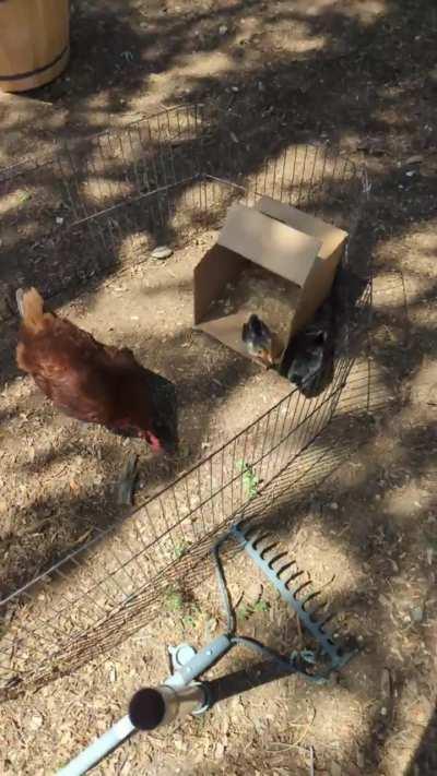 She's Not Ready for Motherhood