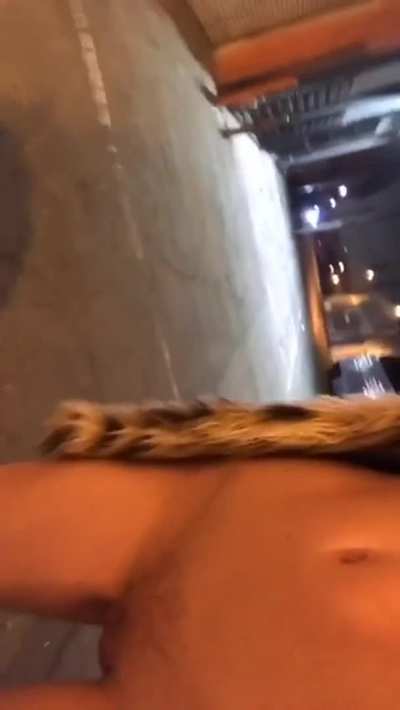 Hot Blonde Revealing in Public and Those Tits Are Wow