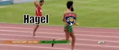 the Panthers hockey experience.