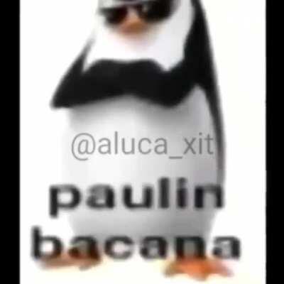 Paulin bacana (crédito ao mlk do video)