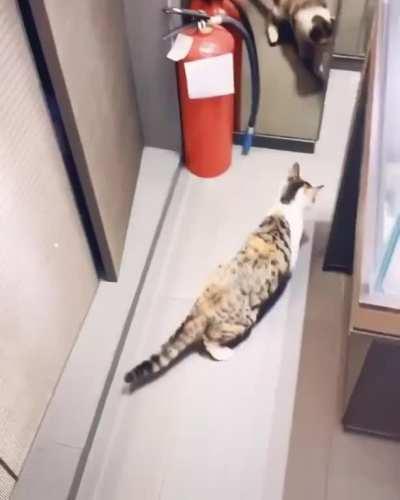 Forgot to account for glass variable