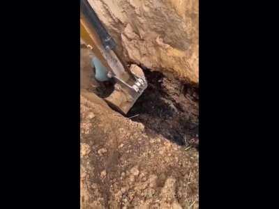 Safety Inspectors Last Day