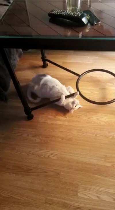 Interesting way to scratch your paws...