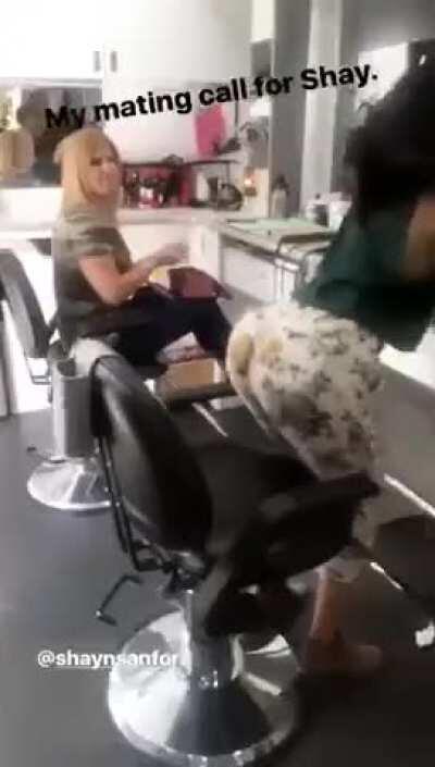 Chloe Bennet shaking her perfect ass in slo mo !!!