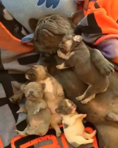 Cutest things I’ve ever seen!