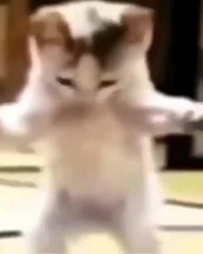 what song is this? reminds me of boards of Canada but shazam and other reverse audio searching sites haven't given me much luck