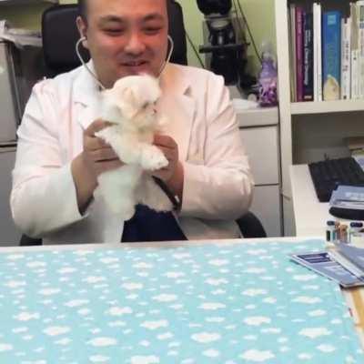 Fluffy puppy gets a checkup