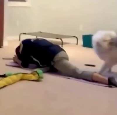 You deserve a spanking