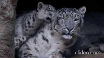 Do you see what I have to deal with?