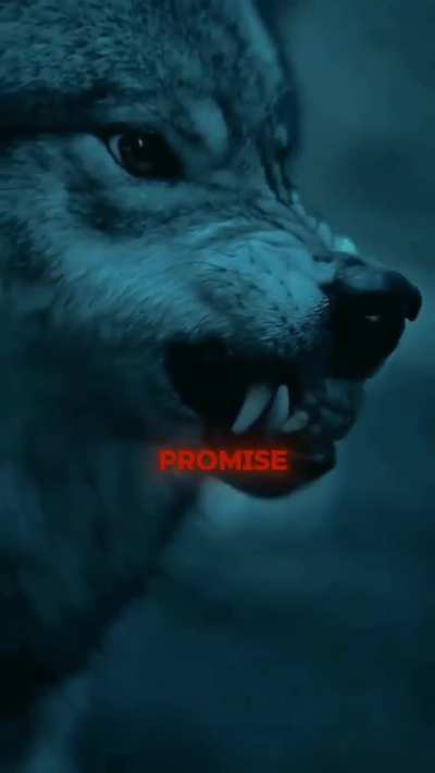 i am: not give a firck sigma wlof si tuff alfa midnste in oheyeoe