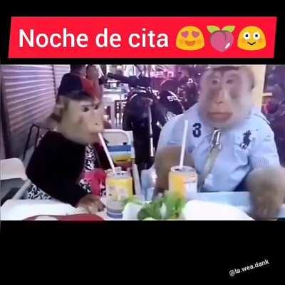 🙉🙉🙉🤡🙉🙉🙉