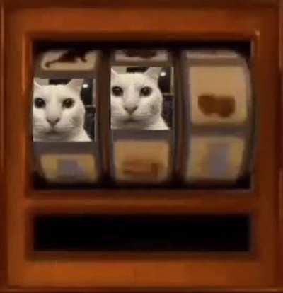 Bingodkdmfkfnd ohnorkfofkfnfodkjfjfrj